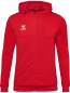 Preview: Hummel Authentic Zip Hoodie - True red
